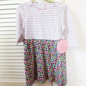NWT 3T Bisby (Little English) Rosie Dress